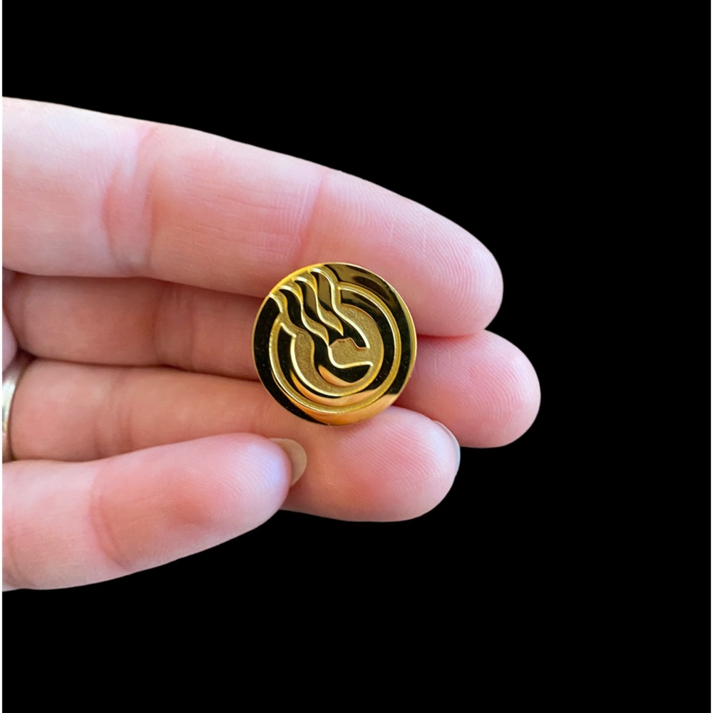 Princess cruise lines Vintage Captain’s Circle Elite Member pin